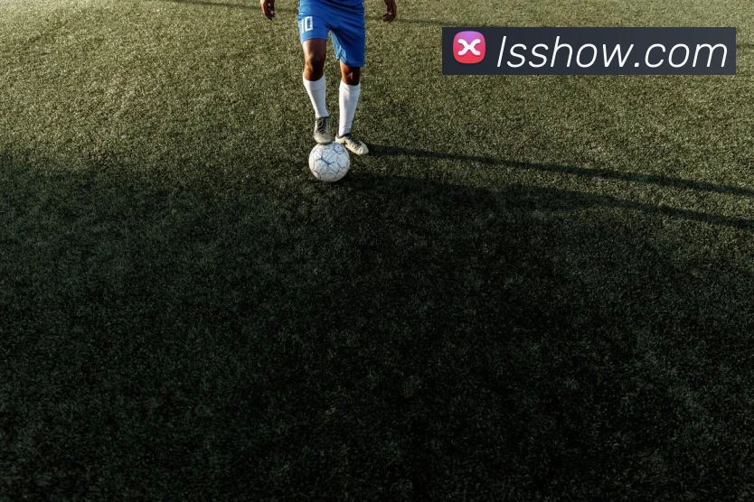 多媒体互动体验